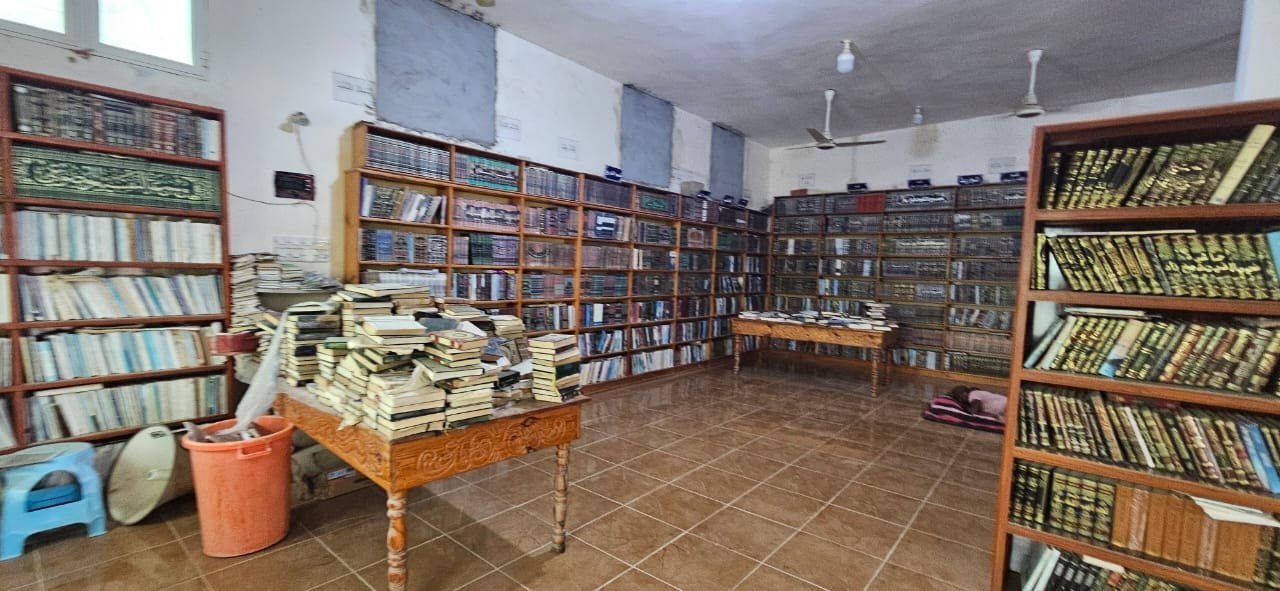صورة الخبر